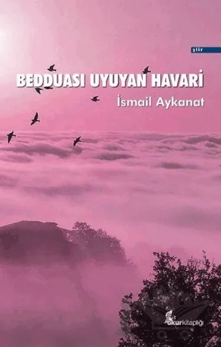 Bedduası Uyuyan Havari – İsmail Aykanat – Okur Kitaplığı kitap kapağı