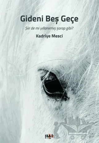 Gideni Beş Geçe – Kadriye Mesci – Tilki Kitap kitap kapağı