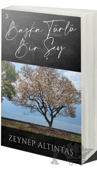 Başka Türlü Bir Şey – Zeynep Altıntaş – Cinius Yayınları kitap kapağı