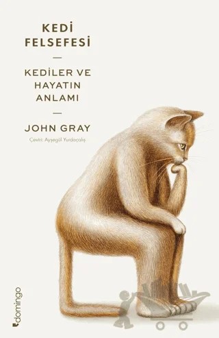 Kedi Felsefesi - Kediler ve Hayatın Anlamı – John Gray – Domingo Yayınevi kitap kapağı