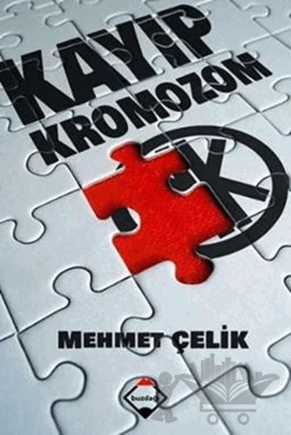 Kayıp Kromozom – Mehmet Çelik – Buzdağı Yayınevi kitap kapağı