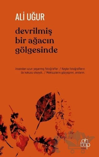 Devrilmiş Bir Ağacın Gölgesinde – Ali Uğur – Ahbap Kitap kitap kapağı