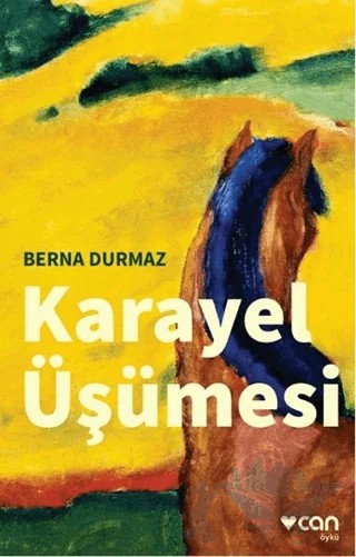 Karayel Üşümesi – Berna Durmaz – Can Yayınları kitap kapağı