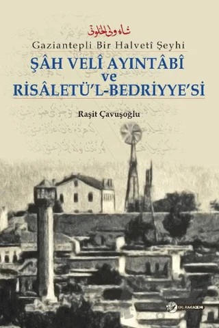 Şah Veli Ayintabi Ve Risaletü’l-Bedriyye’si – Raşit Çavuşoğlu – Okur Akademi kitap kapağı