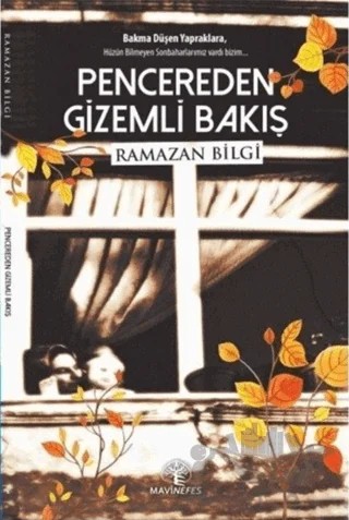 Pencereden Gizemli Bakış – Ramazan Bilgi – Mavi Nefes Yayınları kitap kapağı