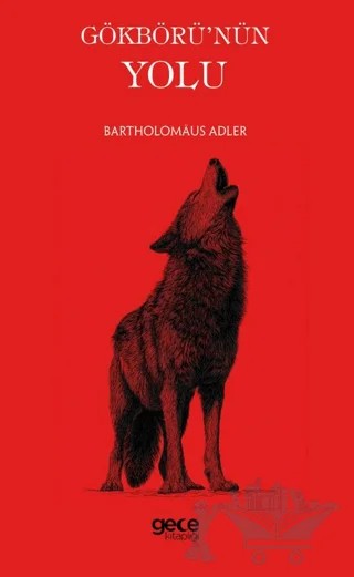 Gökbörü'nün Yolu – Bartholomaus Adler – Gece Kitaplığı kitap kapağı