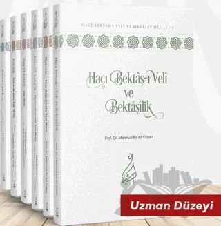 Hacı Bektaş-ı Veli ve Bektaşilik Dizisi (6 Cilt Takım) – Mahmud Esad Coşan – Server Yayınları kitap kapağı