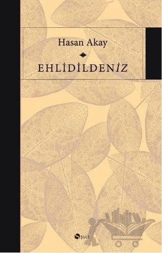 Ehlidildeniz – Hasan Akay – Şule Yayınları kitap kapağı