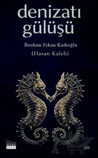 Denizatı Gülüşü – İbrahim Erkan Kadıoğlu – Siyah Beyaz Yayınları kitap kapağı