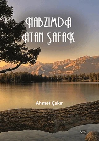 Nabzımda Atan Şafak – Ahmet Çakır – Gece Kitaplığı kitap kapağı