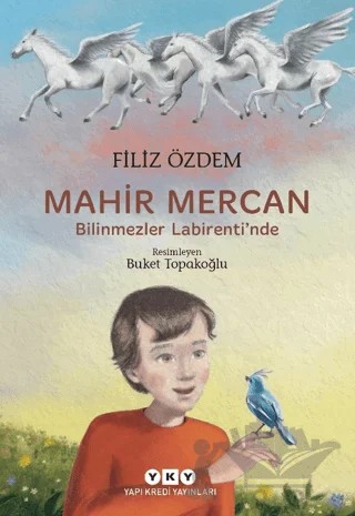 Mahir Mercan - Bilinmezler Labirenti'nde – Filiz Özdem – Yapı Kredi Yayınları kitap kapağı