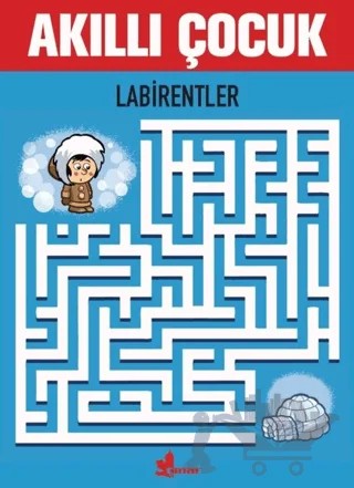 Labirentler - Akıllı Çocuk – Kolektif – Çınar Yayınları kitap kapağı