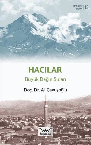 Gültepe Parkı Kaldı Yadigar – Vedat Ali Tok – Heyamola Yayınları kitap kapağı