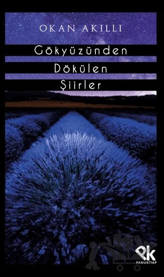 Gökyüzünden Dökülen Şiirler – Okan Akıllı – Panu Kitap kitap kapağı