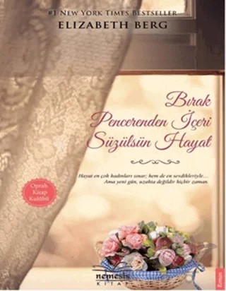 Bırak Pencerenden İçeri Süzülsün Hayat – Elizabeth Berg – Nemesis Kitap kitap kapağı