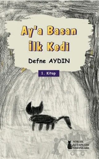 Ay’a Basan İlk Kedi – Defne Aydın – Sokak Kitapları Yayınları kitap kapağı