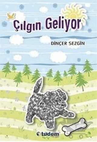Çılgın Geliyor – Dinçer Sezgin – Tudem Yayınları kitap kapağı