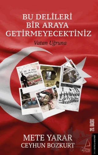 Bu Delileri Bir Araya Getirmeyecektiniz – Ceyhun Bozkurt, Mete Yarar – Destek Yayınları kitap kapağı