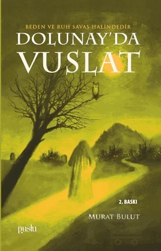 Dolunay’da Vuslat – Murat Bulut – Puslu Yayıncılık kitap kapağı