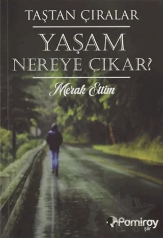 Yaşam Nereye Çıkar? Merak Ettim – Taştan Çıralar – Pamiray Yayınları kitap kapağı