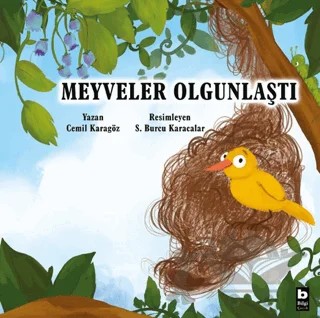 Meyveler Olgunlaştı – Cemil Karagöz – Bilgi Yayınevi kitap kapağı