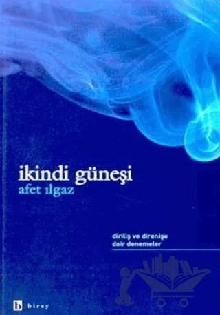 İkindi Güneşi – Afet Ilgaz – Birey Yayıncılık kitap kapağı