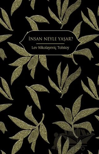İnsan Neyle Yaşar? – Lev Nikolayeviç Tolstoy – Hep Kitap kitap kapağı
