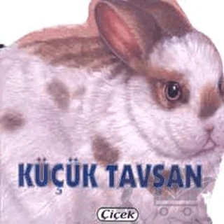 Küçük Tavşan – Kolektif – Çiçek Yayıncılık kitap kapağı