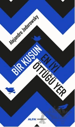 Bir Kuşun En İyi Öttüğü Yer – Alejandra Jodorawsky – Alfa Yayınları kitap kapağı