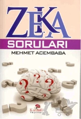 Zeka Soruları – Mehmet Acembaba – Karanfil Yayınları kitap kapağı