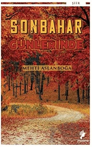 Sonbahar Günlerinde – Mehti Aslanboğa – Morena Yayınevi kitap kapağı