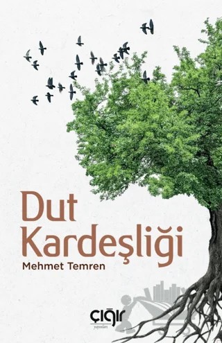 Dut Kardeşliği – Mehmet Temren – Çığır Yayınları kitap kapağı
