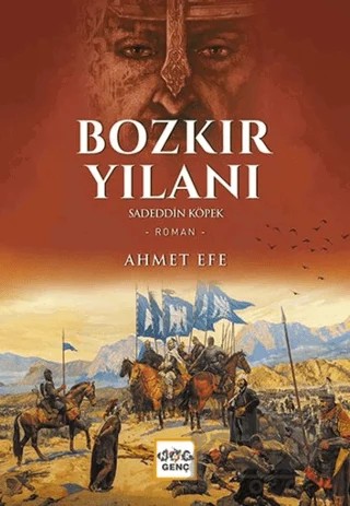 Bozkır Yılanı – Ahmet Efe – Nar Yayınları kitap kapağı