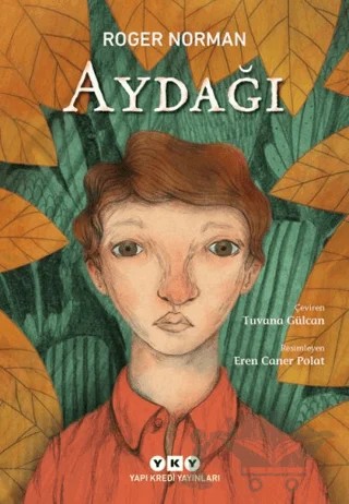 Aydağı – Roger Norman – Yapı Kredi Yayınları kitap kapağı