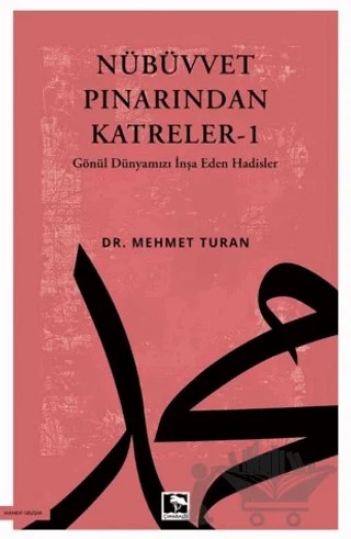 Nübüvvet Pınarından Katreler - 1 – Mehmet Turan – Çınaraltı Yayınları kitap kapağı