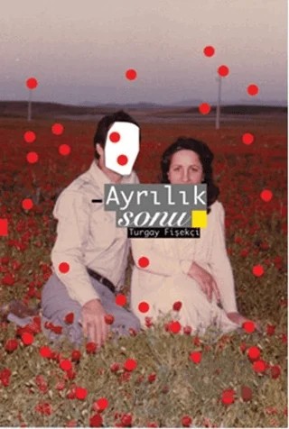 Ayrılık Sonu – Turgay Fişekçi – Sözcükler Yayınları kitap kapağı