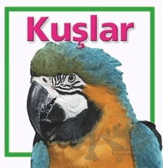 Kuşlar – Kolektif – Beta Kids kitap kapağı
