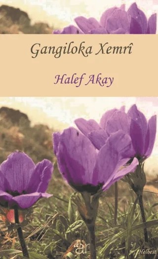 Gangiloka Xemri – Halef Akay – Ar Yayınları kitap kapağı