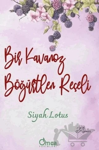 Bir Kavanoz Böğürtlen Reçeli – Kolektif – Omca Yayınları kitap kapağı