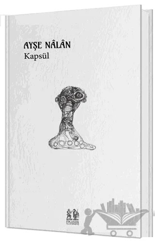 Kapsül – Ayşe Nalan – Pikaresk Yayınevi kitap kapağı