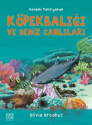 Köpek Balığı ve Deniz Canlılarına Soralım – Olivia Brookes – 1001 Çiçek Kitaplar kitap kapağı