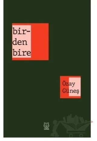 Birdenbire – Özay Güneş – Luna Yayınları kitap kapağı