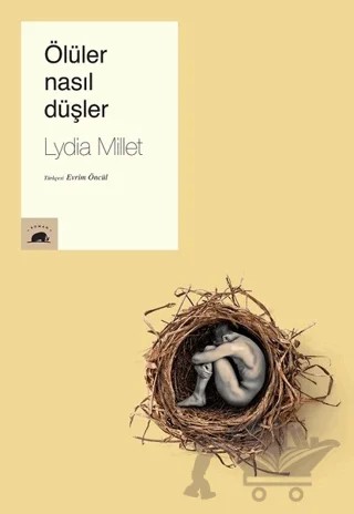 Ölüler Nasıl Düşler – Lydia Millet – Kolektif Kitap kitap kapağı