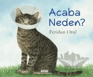 Acaba Neden? – Feridun Oral – Yapı Kredi Yayınları kitap kapağı