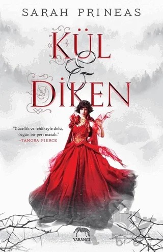Kül ve Diken – Sarah Prineas – Yabancı Yayınları kitap kapağı