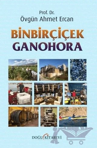 Binbirçiçek Ganohora – Övgün Ahmet Ercan – Doğu Kitabevi kitap kapağı