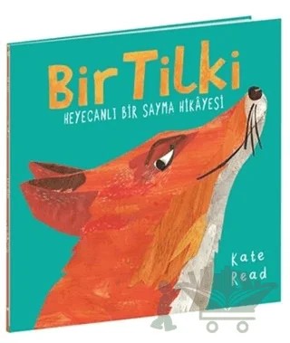 Bir Tilki – Kate Read – Beta Kids kitap kapağı
