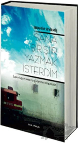 Sana Bir Şiir Yazmak İsterdim – İbrahim Sevilmiş – Sokak Kitapları Yayınları kitap kapağı