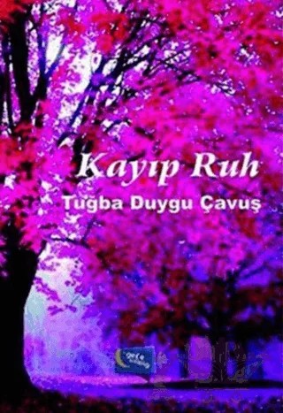 Kayıp Ruh – Tuğba Duygu Çavuş – Gece Kitaplığı kitap kapağı
