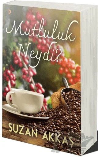 Mutluluk Neydi? – Suzan Akkaş – Cinius Yayınları kitap kapağı